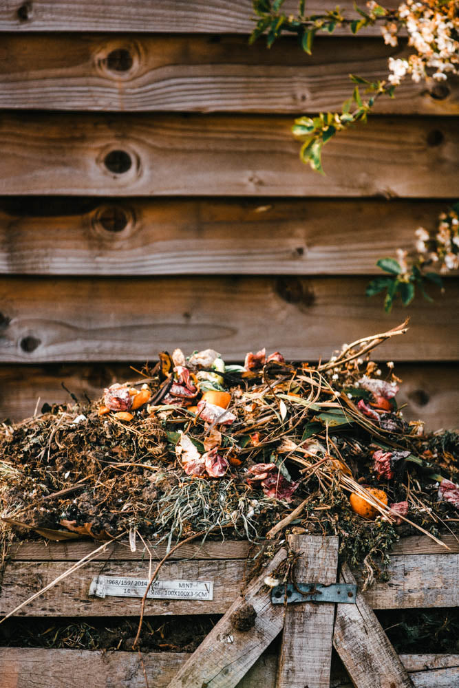 Sustainability | Composting 101